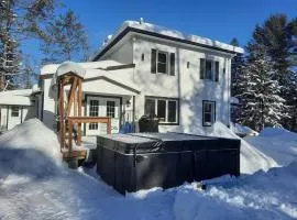 WOW! Espace, Plaisirs, Détente - Spacieux chalet pour grande famille ou entre amis - activités, spa 10 places