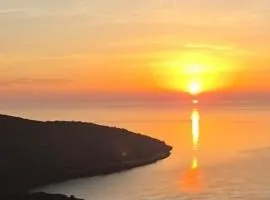 BiO Kruce Seaview