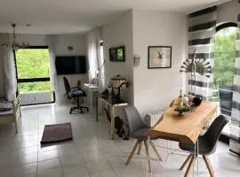 Apartment Gesamte Wohnung in Bad Kreuznach by Interhome
