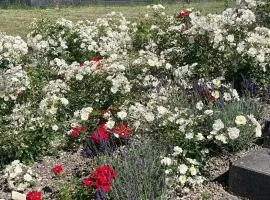 Holiday Home Feriendorf E44 by Interhome