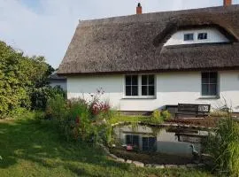 Apartment Traumhafte Ferienwohnung im Reetferienhaus by Interhome