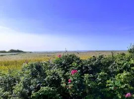 8 person holiday home in Skjern-By Traum