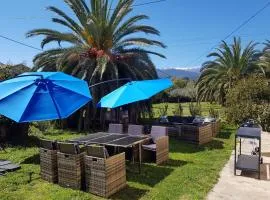 Apartment Palma Wohnung mit beheiztem Pool und privatem Garten- 1 Minute vom Meer entfern by Interhome