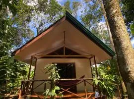 Monkey House, Monterrey