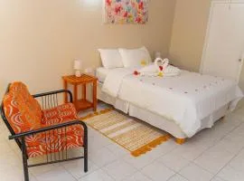 Nerv's Island House Studio 1bd 1bth