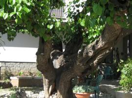 Hotel da Rosanna, hotel v destinaci Attigliano