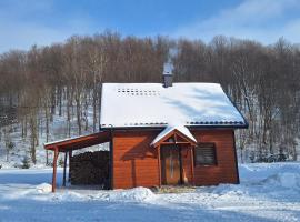 Domek na Świerzowskiej Polanie, hotel a Świątkowa Wielka