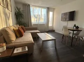 Appartement cosy à 5 min du centre-ville