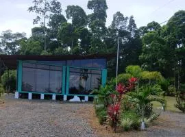 Tropical Crystal House