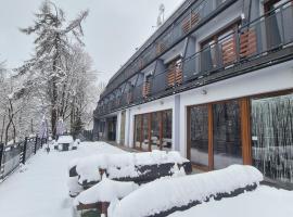 H&R Polaris Szczawnica, romantick&yacute; hotel v destin&aacute;cii Szczawnica