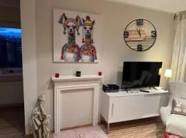 Business Apartment Bugl