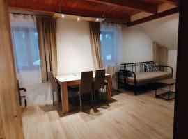 Apartmány v Bývalém mlýně, hótel í Rokytnice v Orlických Horách