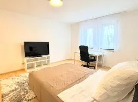 Exklusives, voll möbliertes Studio-Apartment mit TG-Stellplatz - Premium Wohnen nahe Seepark