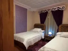 الشيخ زايد الحي الثامن