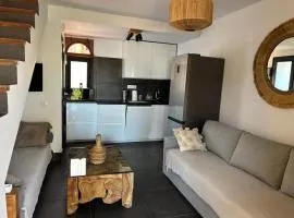 PREMIUM - NEW TROPICAL CASA GREEN OASIS Costa Calma - FAST WI-FI !! SWIMMING POOL !! TV