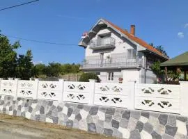 Domaćinsvo Stević - Sekurič