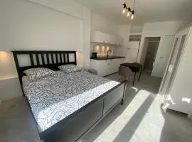 Magnifique studio avenue des diables bleus