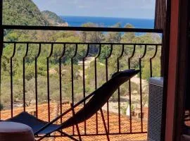 T2 vue mer & montagne Golfe de Porto-Ota