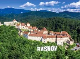 Mountain View Apartment&Parking