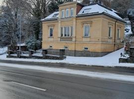 Ferienwohnung Springstein – hotel w mieście Aue
