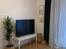 Lumineux T3 avec double terrasse au calme - parking sécurisé