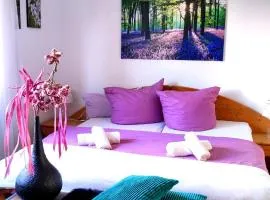 FeWo Sartorius am Hemsberg