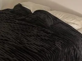 Julius Biches confort