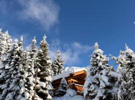 Superbe appartement avec vue et parking gratuit, hôtel à Bagnes