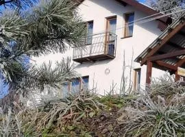 Біля лісу Шале з двома спальнями