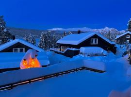 Modern cabin, great view, sunny, 2BA, 4BR โรงแรมในเฮมเซดาล