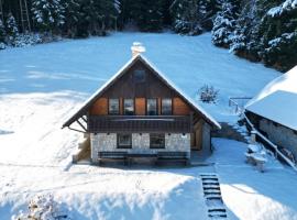 Private Forest Cabin with Epic View, brunarica v Ribnici na Pohorju