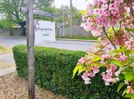 Wisteria Haze – hotel w mieście Cranfield