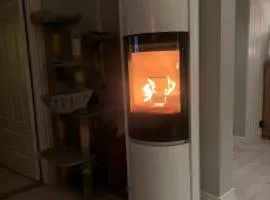 Newly-built house in rural idyll