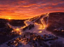 Peak Ski Season Escape, A few GREAT DATES OPEN for 2026 Skiing!