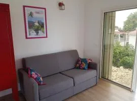 Beautiful West Indian house in a wooded garden