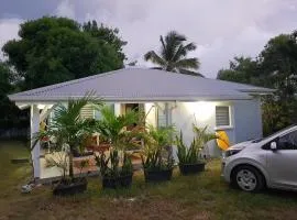 Beautiful West Indian house in a wooded garden