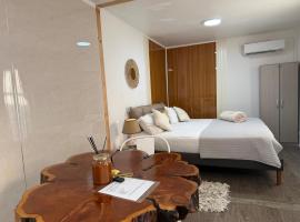 Casa Withe opción jacuzzi, Hotel in Villa Alemana