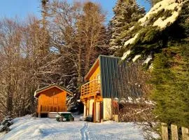 CHARMANT CHALET dans les monts du Forez