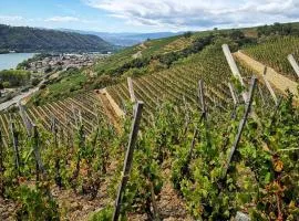 Dépendance cocooning bon standing Ampuis