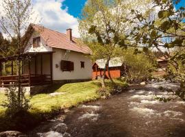 Csobogó Patak Vendégház, Hotel in Sicasău