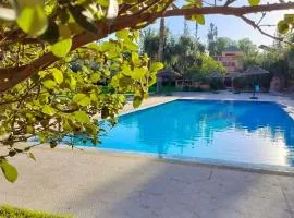 Berber House Authentic Moroccan Farm Stay