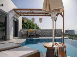 Villa Petalouda -Private pool Marvelous Views of the Ionian Sea