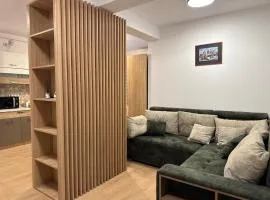 Nest Inn Olive Apartment