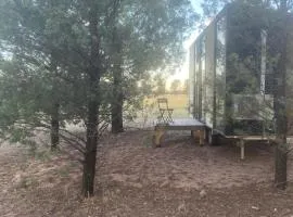 Plain Bush by Tiny Away