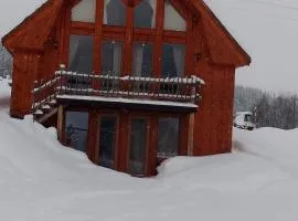 Domek na wylacznosc Rochowa Buznica