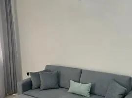 The Cozy apartment perfect for work & vacation