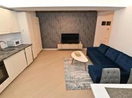 PREMIUM 1 BEDROOM Apartment CORTINA