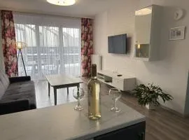 1 Tyskie Apartamenty z ogródkiem