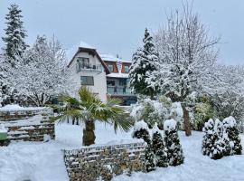 Pension Höchemer, hotel v destinaci Bad Bocklet