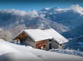 Chalet Confidentiel - OVO Network